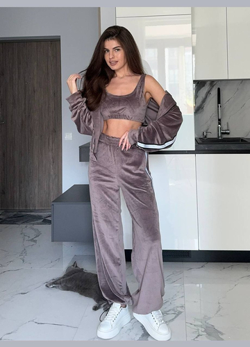 Велюровий костюм трійка